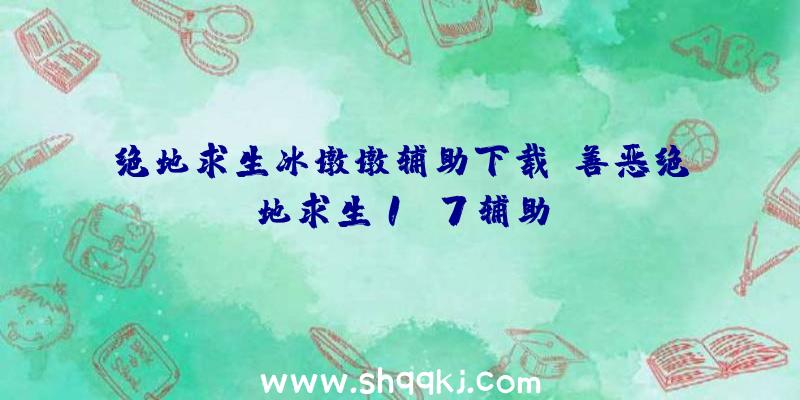 绝地求生冰墩墩辅助下载、善恶绝地求生1.7辅助