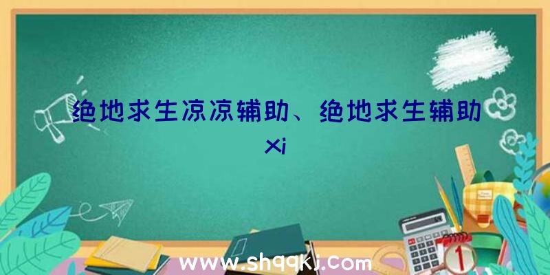 绝地求生凉凉辅助、绝地求生辅助xi