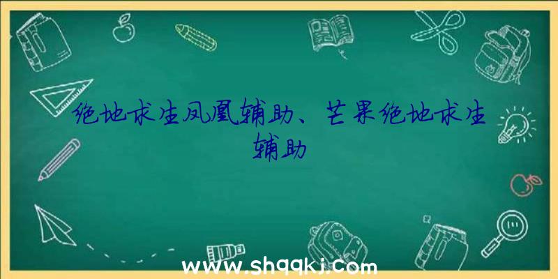 绝地求生凤凰辅助、芒果绝地求生辅助