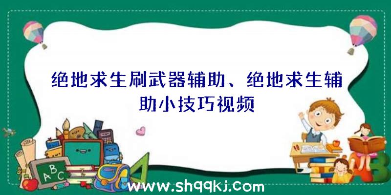 绝地求生刷武器辅助、绝地求生辅助小技巧视频