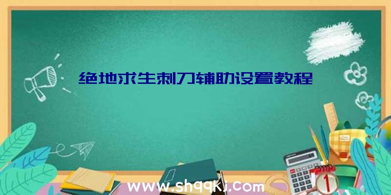 绝地求生刺刀辅助设置教程