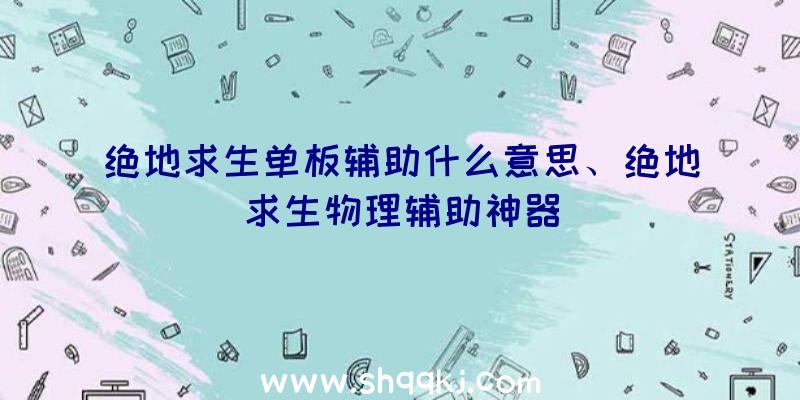 绝地求生单板辅助什么意思、绝地求生物理辅助神器