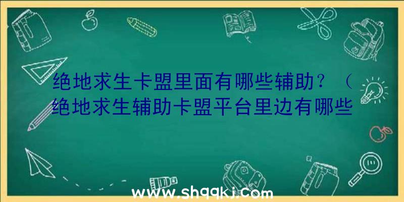 绝地求生卡盟里面有哪些辅助？（绝地求生辅助卡盟平台里边有哪些协助？）