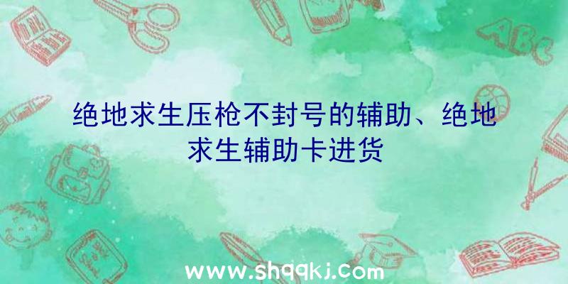 绝地求生压枪不封号的辅助、绝地求生辅助卡进货