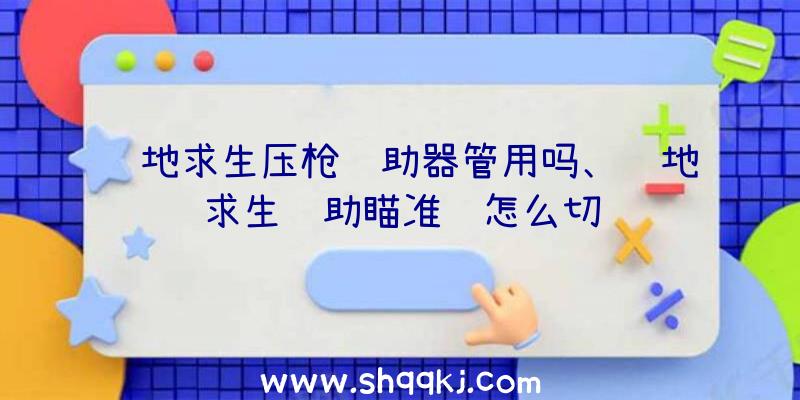 绝地求生压枪辅助器管用吗、绝地求生辅助瞄准镜怎么切