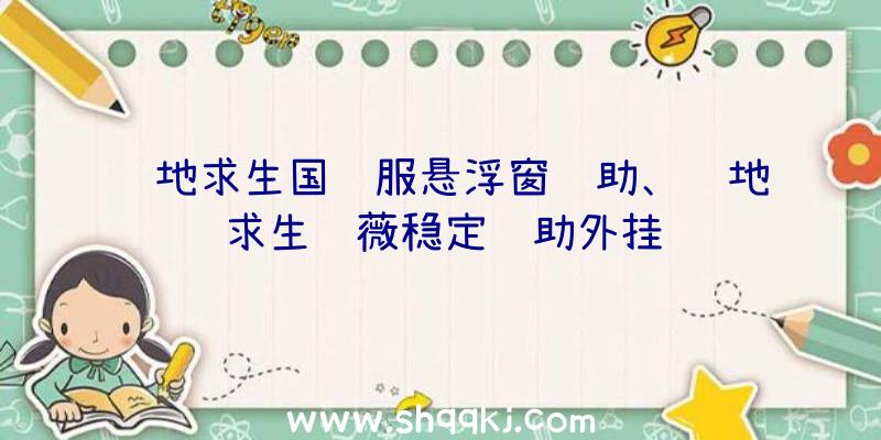 绝地求生国际服悬浮窗辅助、绝地求生蔷薇稳定辅助外挂