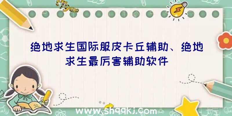 绝地求生国际服皮卡丘辅助、绝地求生最厉害辅助软件