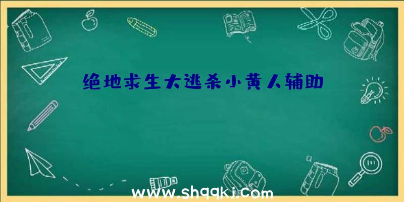 绝地求生大逃杀小黄人辅助