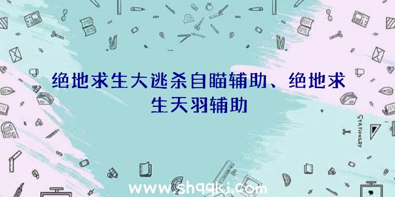 绝地求生大逃杀自瞄辅助、绝地求生天羽辅助