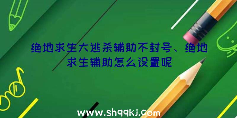 绝地求生大逃杀辅助不封号、绝地求生辅助怎么设置呢