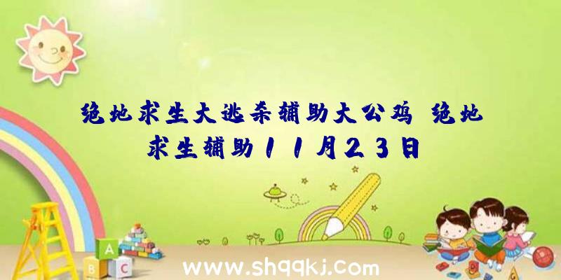 绝地求生大逃杀辅助大公鸡、绝地求生辅助11月23日