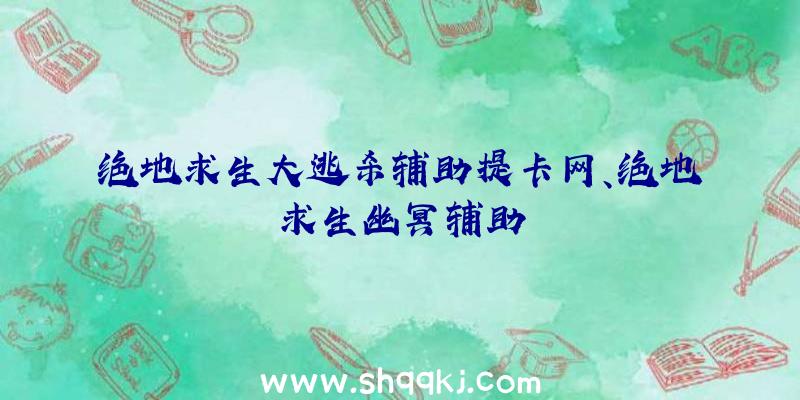 绝地求生大逃杀辅助提卡网、绝地求生幽冥辅助