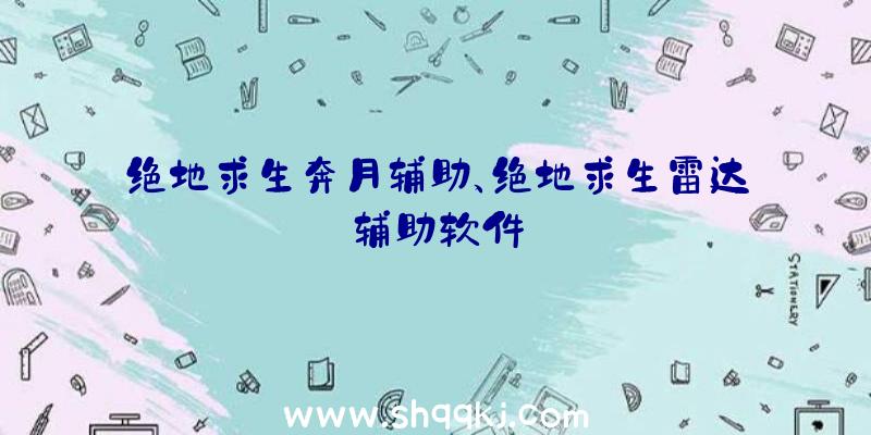 绝地求生奔月辅助、绝地求生雷达辅助软件