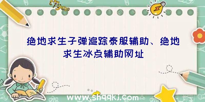 绝地求生子弹追踪泰服辅助、绝地求生冰点辅助网址