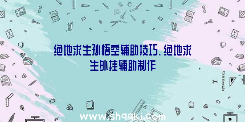 绝地求生孙悟空辅助技巧、绝地求生外挂辅助制作