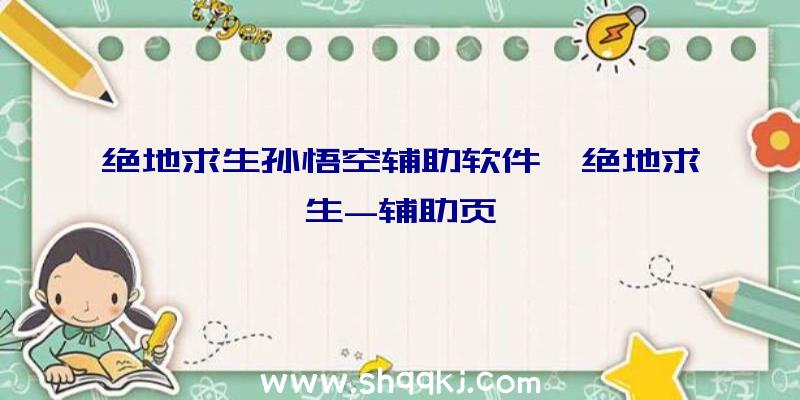 绝地求生孙悟空辅助软件、绝地求生-辅助页