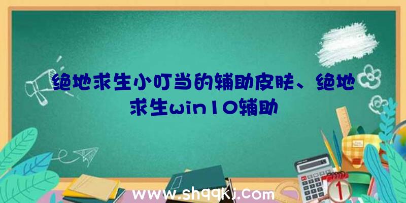 绝地求生小叮当的辅助皮肤、绝地求生win10辅助