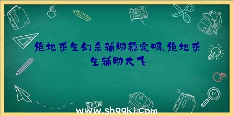 绝地求生幻杀辅助稳定吗、绝地求生辅助大飞