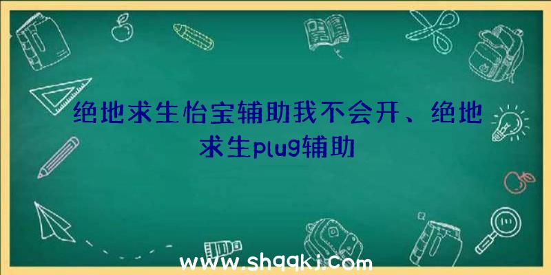 绝地求生怡宝辅助我不会开、绝地求生plug辅助