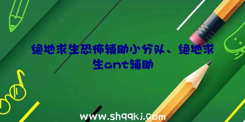 绝地求生恐怖辅助小分队、绝地求生ant辅助