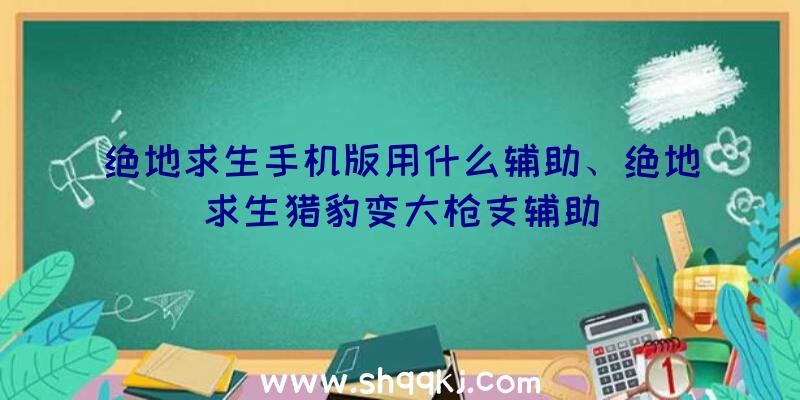 绝地求生手机版用什么辅助、绝地求生猎豹变大枪支辅助