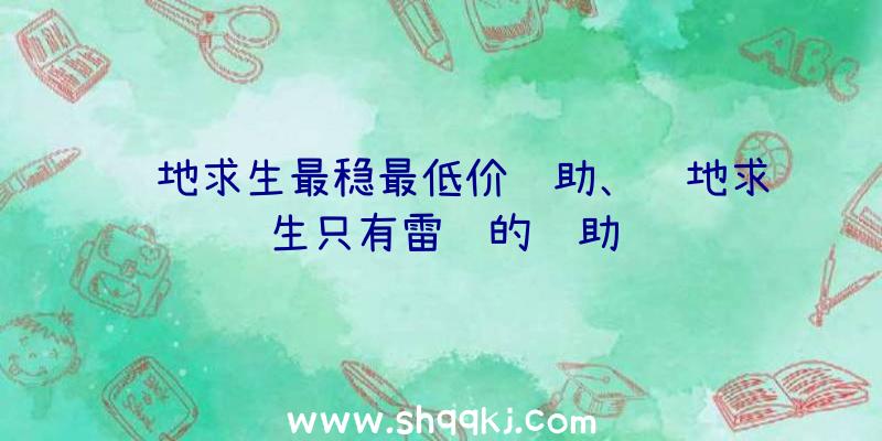 绝地求生最稳最低价辅助、绝地求生只有雷达的辅助