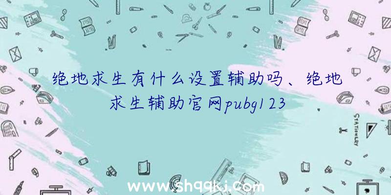 绝地求生有什么设置辅助吗、绝地求生辅助官网pubg123