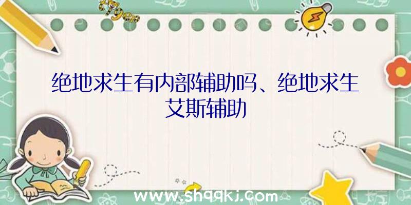 绝地求生有内部辅助吗、绝地求生艾斯辅助