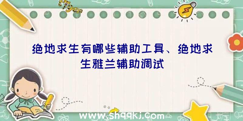 绝地求生有哪些辅助工具、绝地求生雅兰辅助调试