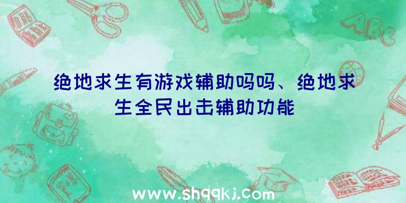 绝地求生有游戏辅助吗吗、绝地求生全民出击辅助功能