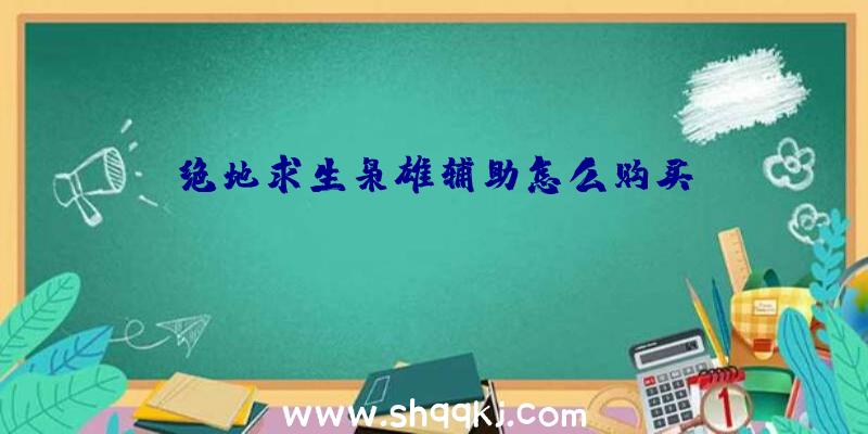 绝地求生枭雄辅助怎么购买