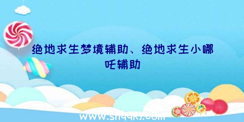 绝地求生梦境辅助、绝地求生小哪吒辅助