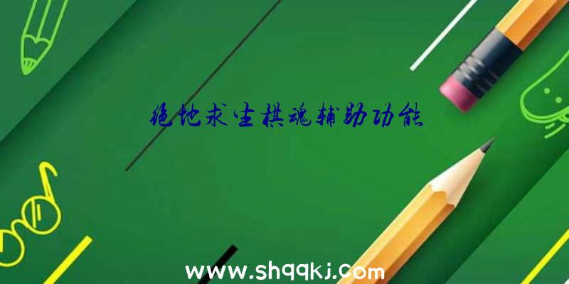 绝地求生棋魂辅助功能