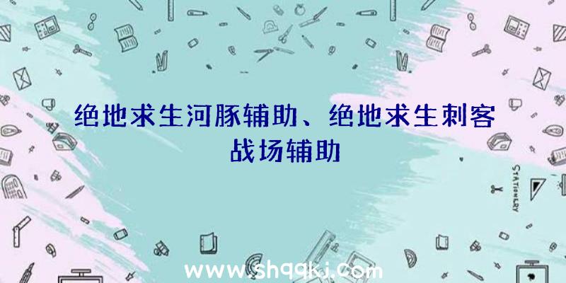 绝地求生河豚辅助、绝地求生刺客战场辅助