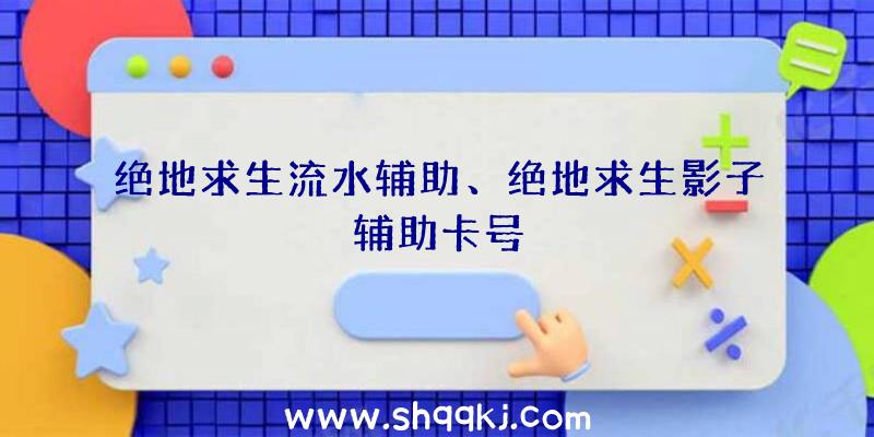 绝地求生流水辅助、绝地求生影子辅助卡号