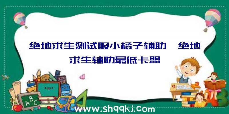 绝地求生测试服小橘子辅助、绝地求生辅助最低卡盟