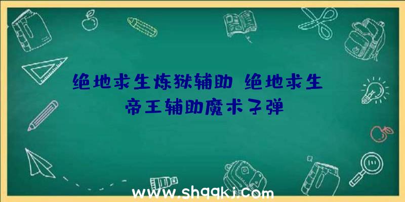 绝地求生炼狱辅助、绝地求生dw帝王辅助魔术子弹