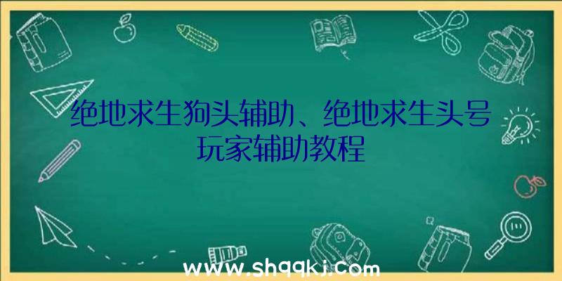 绝地求生狗头辅助、绝地求生头号玩家辅助教程