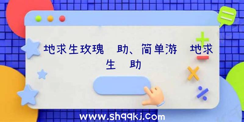 绝地求生玫瑰辅助、简单游绝地求生辅助