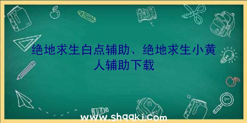 绝地求生白点辅助、绝地求生小黄人辅助下载