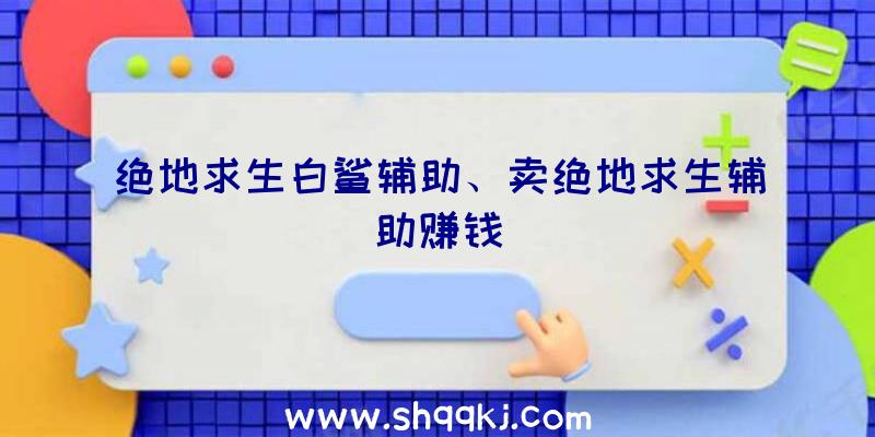 绝地求生白鲨辅助、卖绝地求生辅助赚钱