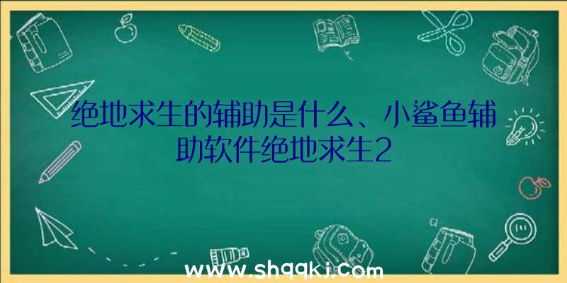 绝地求生的辅助是什么、小鲨鱼辅助软件绝地求生2