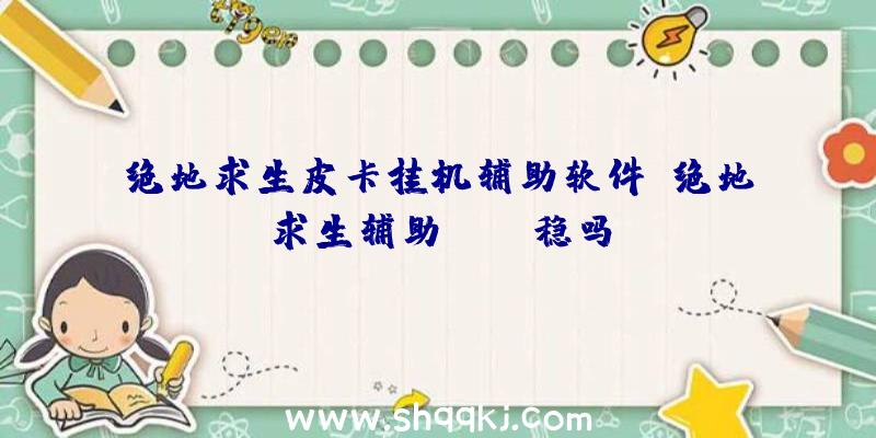 绝地求生皮卡挂机辅助软件、绝地求生辅助pubg稳吗