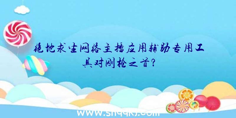 绝地求生网络主播应用辅助专用工具对刚枪之首？