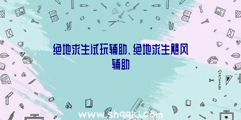 绝地求生试玩辅助、绝地求生飓风辅助