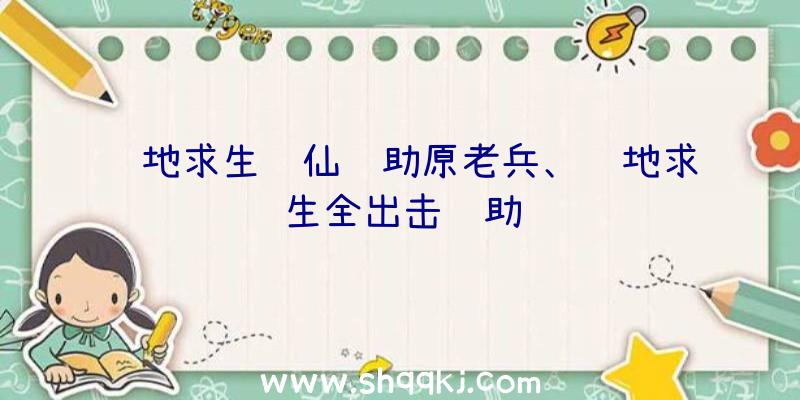 绝地求生诛仙辅助原老兵、绝地求生全出击辅助