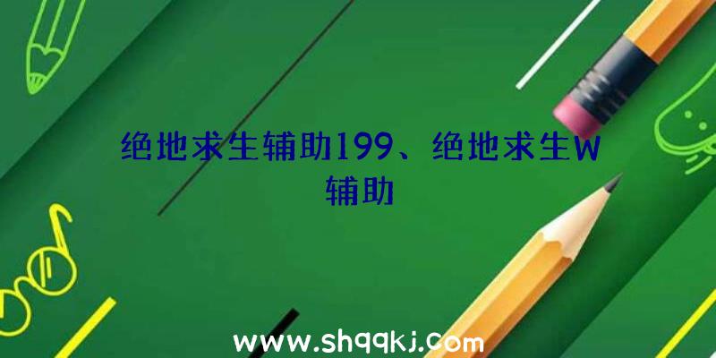 绝地求生辅助199、绝地求生W辅助