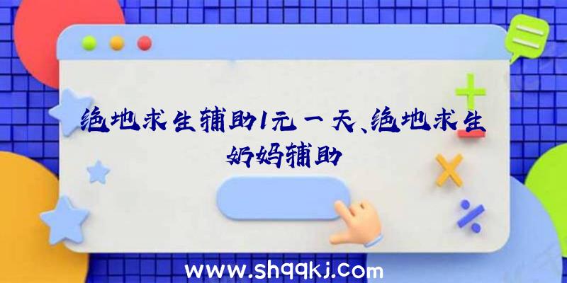 绝地求生辅助1元一天、绝地求生奶妈辅助