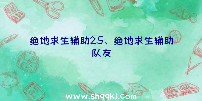 绝地求生辅助25、绝地求生辅助队友