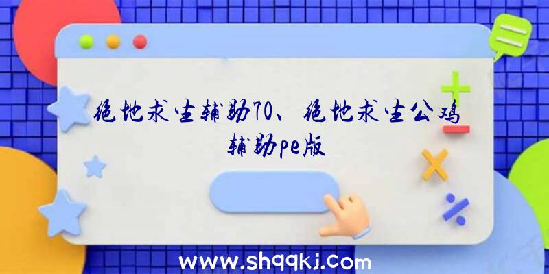 绝地求生辅助70、绝地求生公鸡辅助pe版